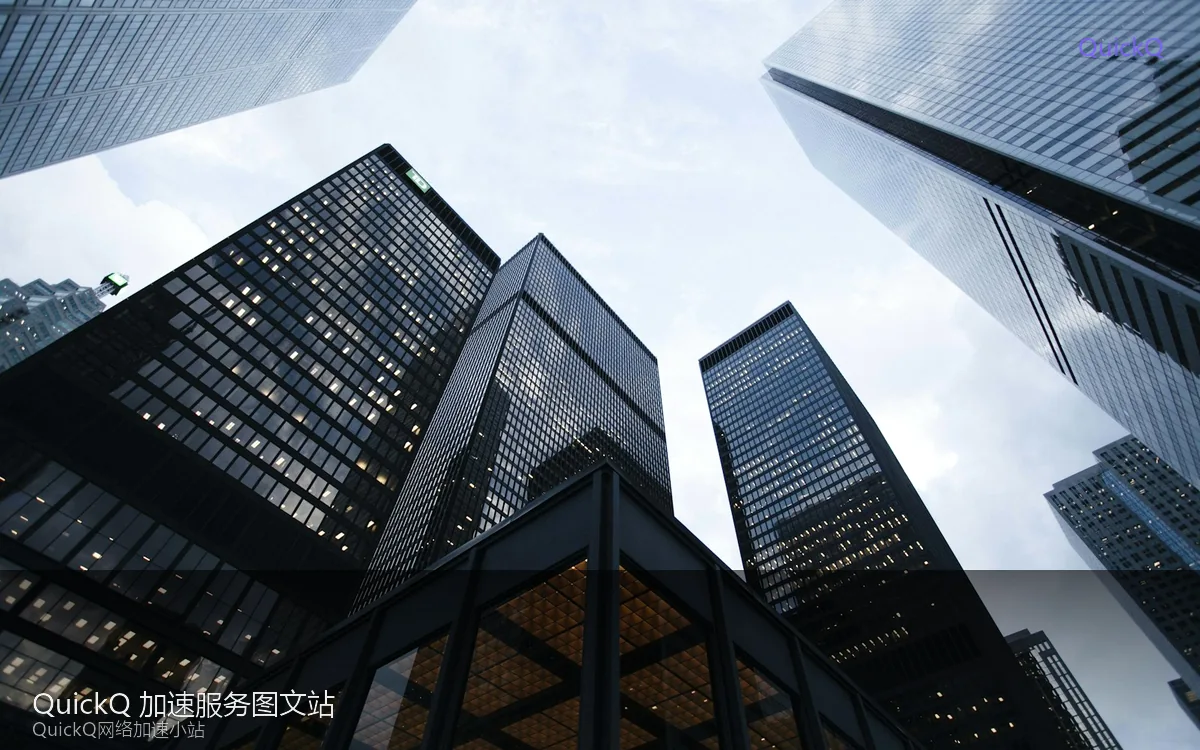 quickq 多协议切换与连接测试示意